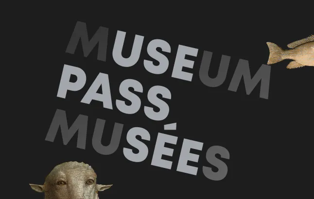 Surreal Museumpas
